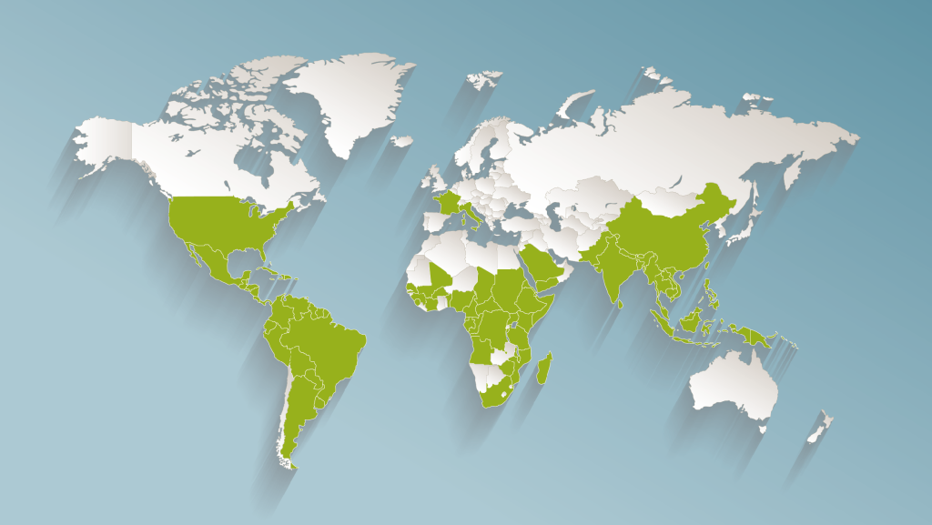 Chikungunya map